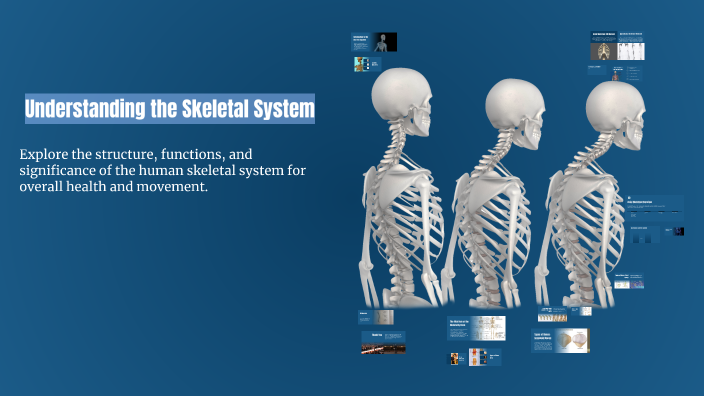 Understanding the Skeletal System by Mark Anthony on Prezi