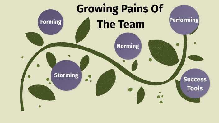 Developmental Sequence In Small Groups By Kirjsten Blodgett On Prezi