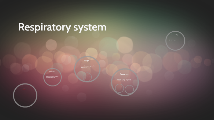 respitory system by rodolfo ponce on Prezi