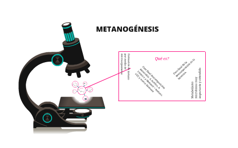 METANOGÉNESIS by Natalia Cifuentes on Prezi