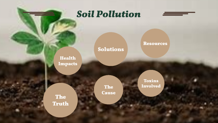 research on soil pollution