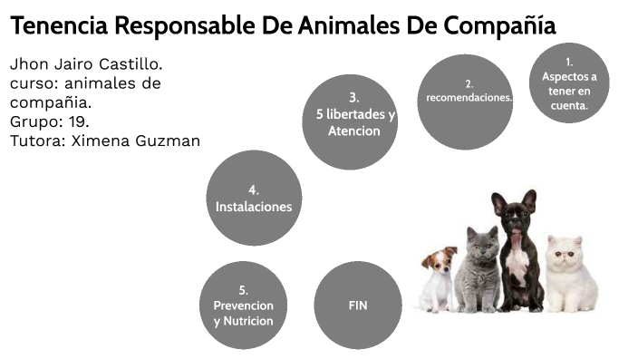 Tenencia Resposable De Animales De Compañia by jhon jairo castillo ...