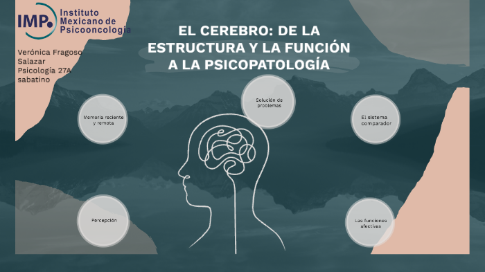 EL CEREBRO: DE LA ESTRUCTURA Y LA FUNCIÓN A LA PSICOPATOLOGÍA by ...