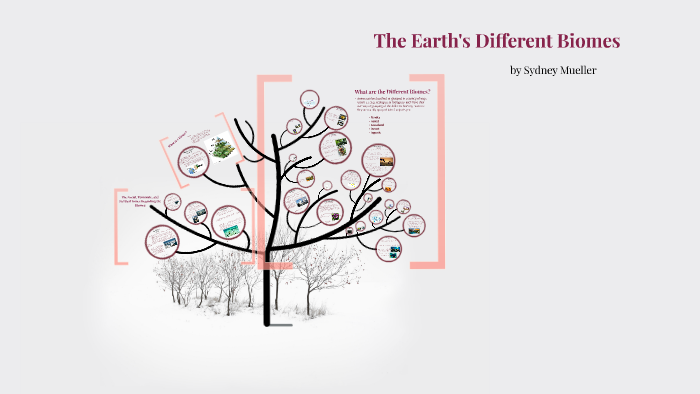 The Earth's Different Biomes By Sydney Mueller