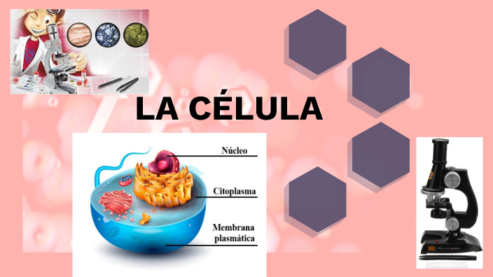 LA CÉLULA by Johanna Acosta on Prezi