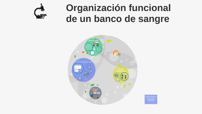 Organización funcional de un banco de sangre by Nicol Castro on Prezi