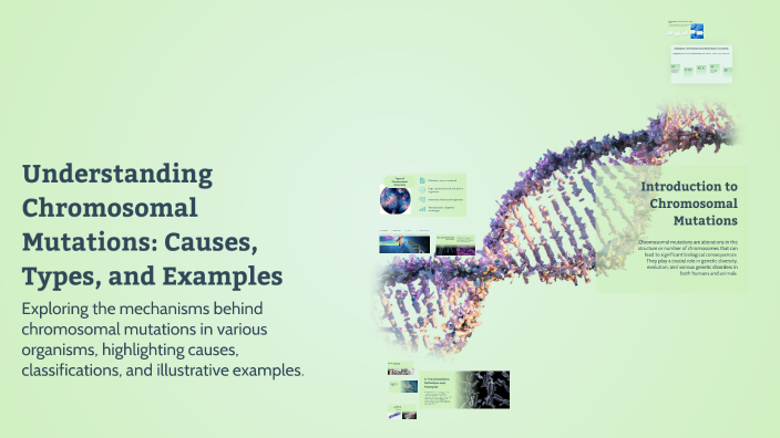Understanding Chromosomal Mutations: Causes, Types, and Examples by ...