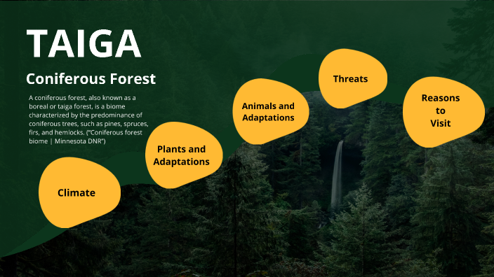 Taiga Animals List, Facts and Pictures in 2023