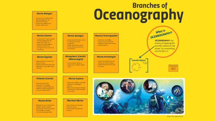 0-2-branches-of-oceanography-by-kimberly-christian-on-prezi