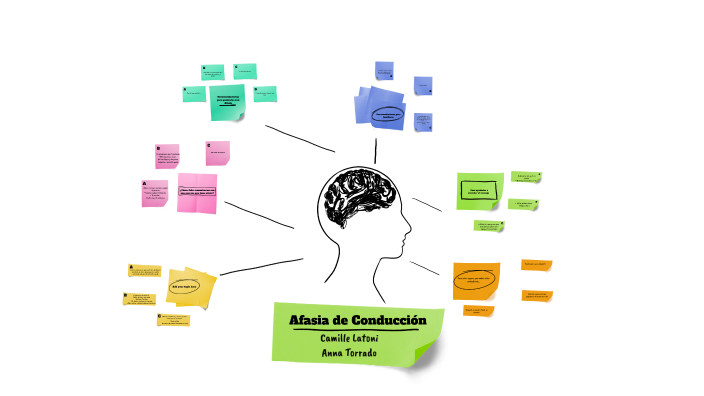 Afasia de conducción by Anna Paola Torrado Calvo on Prezi