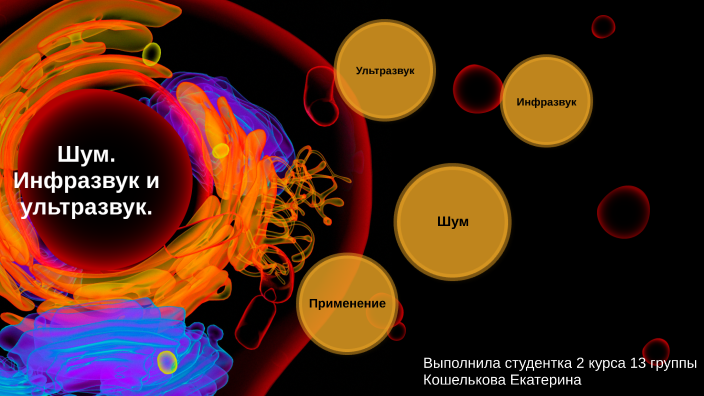 Инфразвук собаки