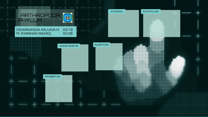 Arthropoda System By Dewa Juna On Prezi Next