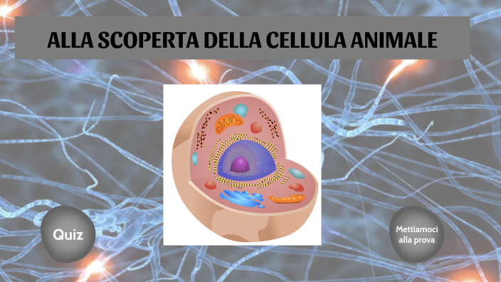 La cellula animale by Martina Massano on Prezi