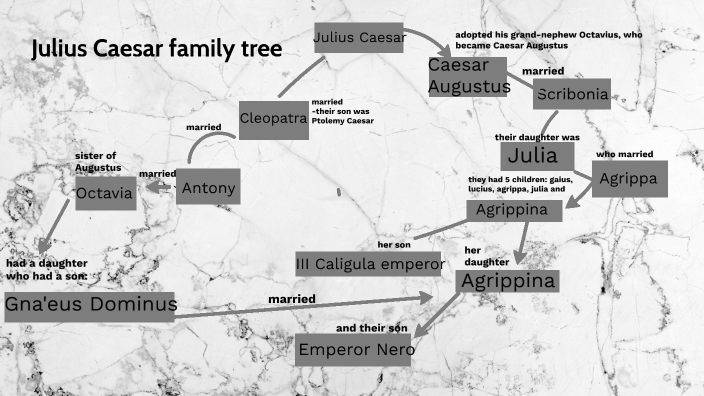 gaius julius caesar family tree