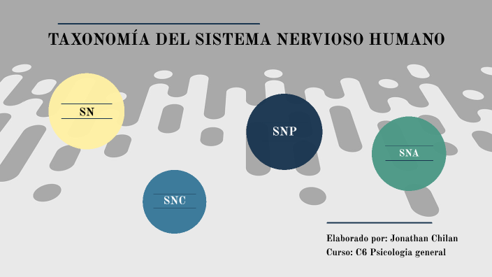 Taxonomía del Sistema Nervioso Humano by JONATHAN JOSUE CHILAN ZAMBRANO ...