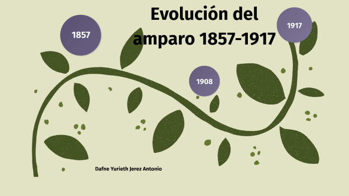 Evolución Del Amparo 1857-1917 By Dafne Yurieth Jerez Antonio