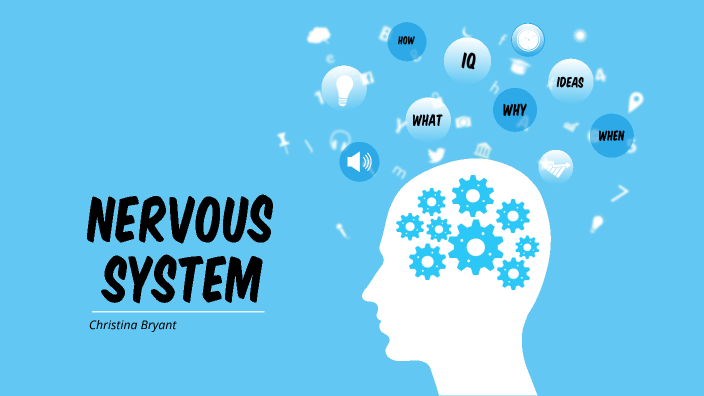 Nervous System by Christina Bryant on Prezi