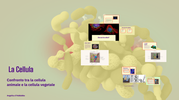 La Cellula Angelica by SARA D'ADDABBO on Prezi