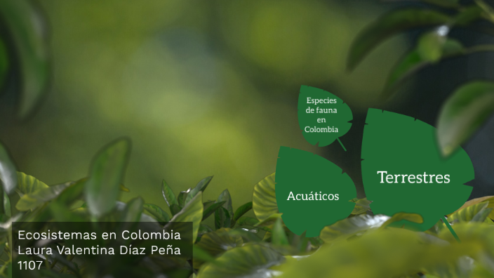 Ecosistemas de Colombia by Laura DP on Prezi