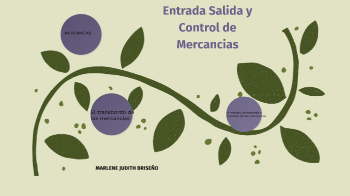 Entrada Salida Y Control De MercancÍas By Yudith Bcñm On Prezi 7019