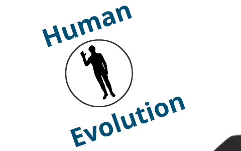 Group 1 Human Evolution by Amanda Samana on Prezi