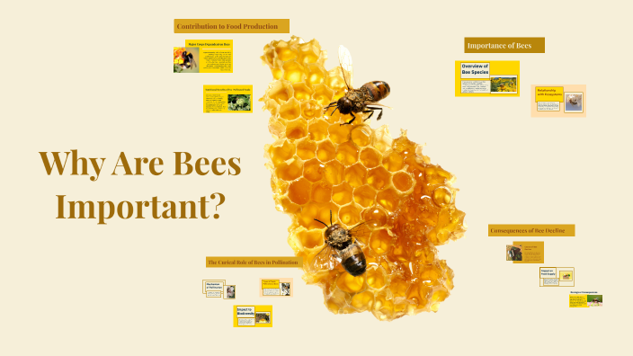 Why Are Bees Important? by R on Prezi