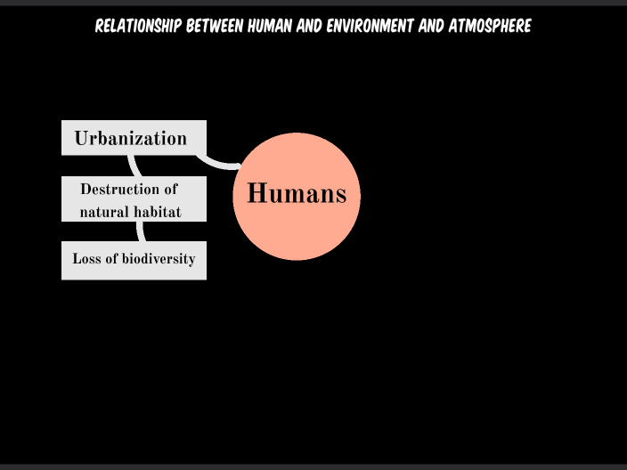 Concept map by Sarah Chu on Prezi