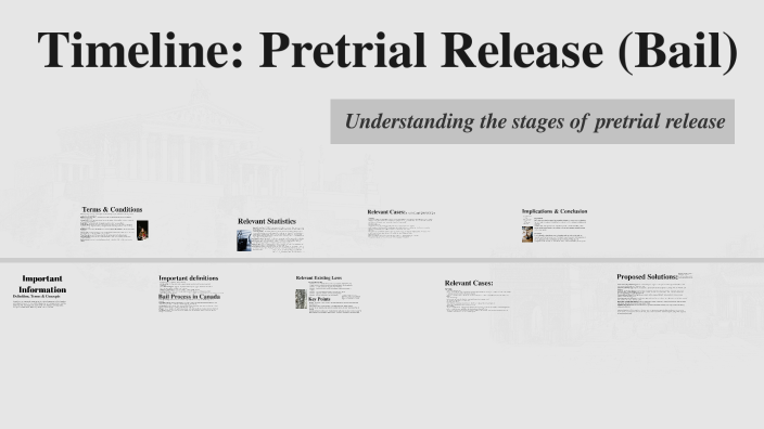 HOW BAIL WORKS AMOUNTS TYPES AND PRETRIAL RELEASE visual data 3
