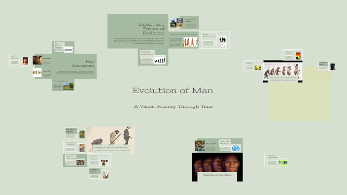 Evolution of Man by Bismah Ali on Prezi
