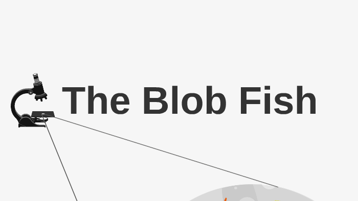 Blobfish: The Loss of an Icon