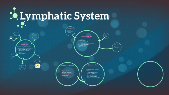 Lymphatic System by