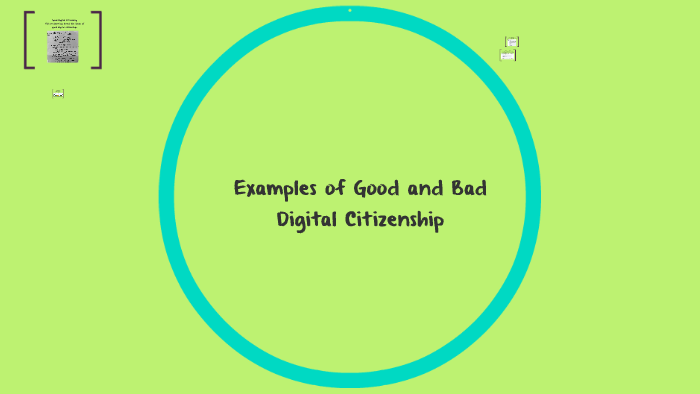 Examples of bad digital citizenship sale