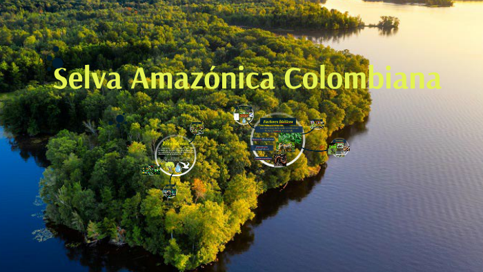 La Amazonía Colombiana by Valentina Navarrete Suárez on Prezi