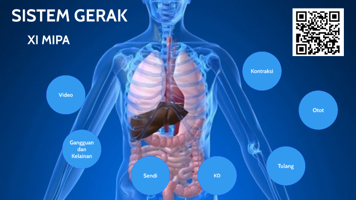 Sistem Gerak By Anastasia Dian Susanti On Prezi