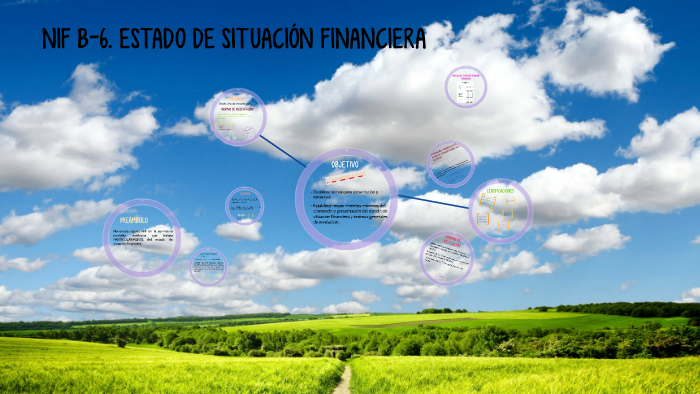 NIF B-6. ESTADO DE SITUACIÓN FINANCIERA By Jasleen Chavez