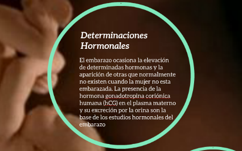 Determinaciones hormonales by Selina Gaspar Yañez