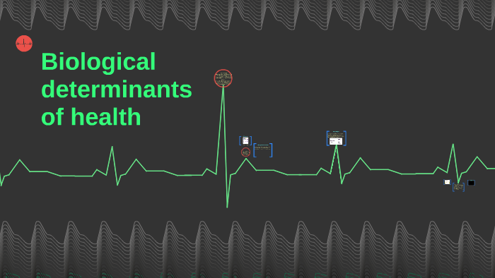 biological-determinants-of-health-by-elsie-wallace-on-prezi