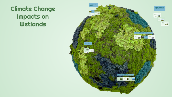 Climate Change Impacts on Wetlands by Yudi Sandhu on Prezi