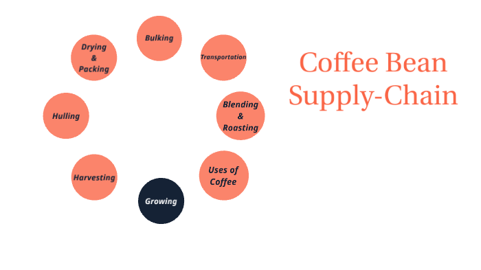 Coffee Supply Chain Flow Chart