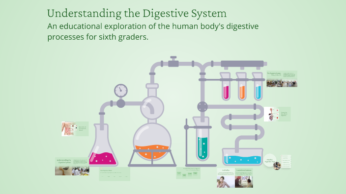 Understanding the Digestive System by Fey Quintana on Prezi