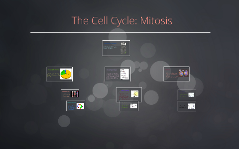 prezi presentation mitosis