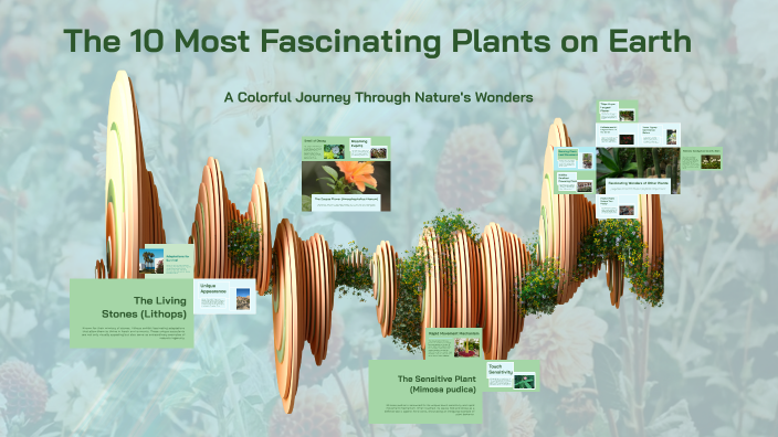 The 10 Most Fascinating Plants on Earth by Tuba Seyhan on Prezi