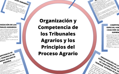 Organización Y Competencia De Los Tribunales Agrarios Y Los Principios ...