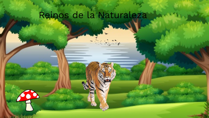 Reinos de la Naturaleza by Isabela Rojas on Prezi