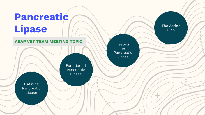 Pancreatic Lipase by Olivia Hellmund on Prezi