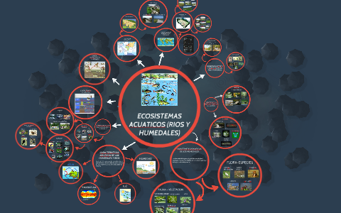 ECOSISTEMAS ACUACTICOS (RIOS Y HUMEDALES) by Sindy León on Prezi