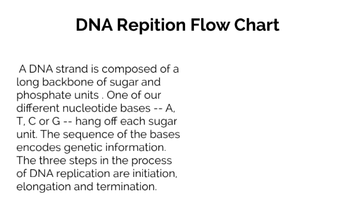 Dna Replication Flow Chart By Deltrick Berry 3243