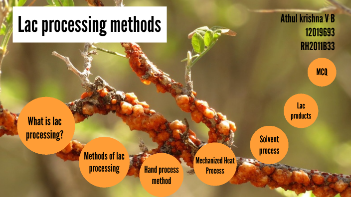 Lac processing methods by Athul Krishna on Prezi