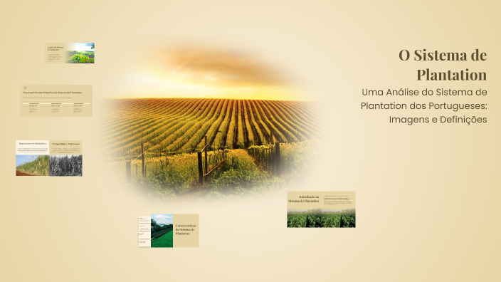 O Sistema de Plantation by Hugo Wc on Prezi