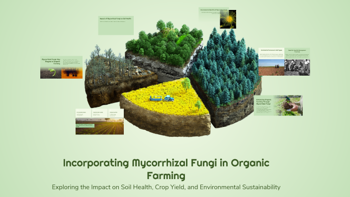 Incorporating Mycorrhizal Fungi in Organic Farming by Moen Dinamling on ...